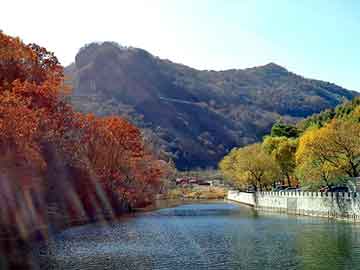 澳门正版免费全年资料，北海道自驾游车祸